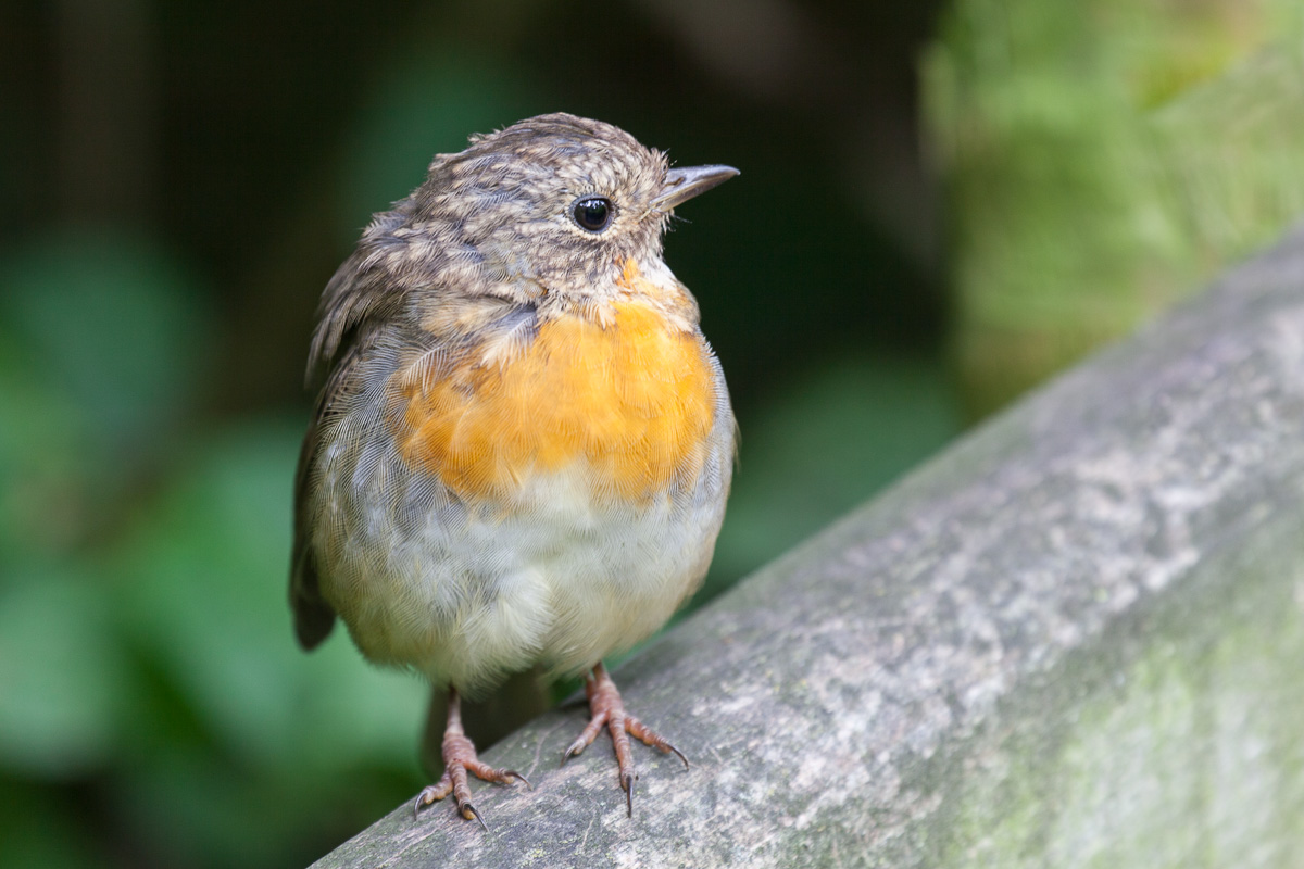 30 July 2019