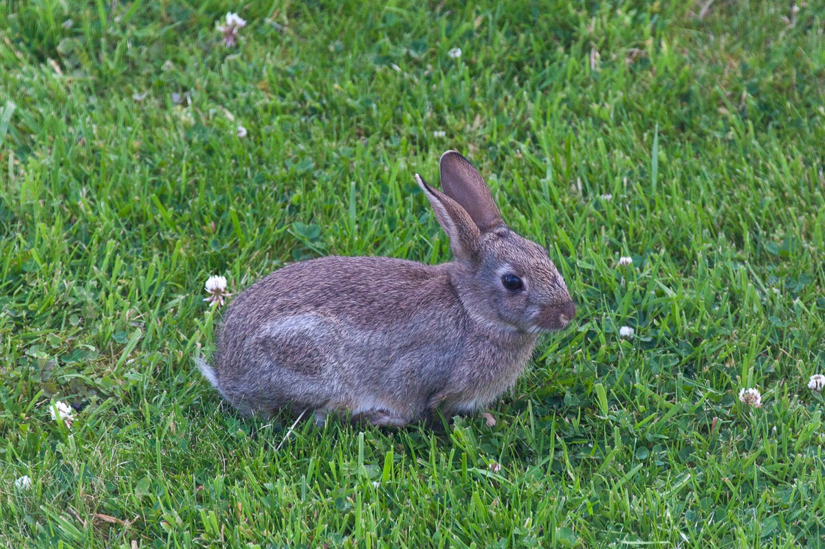 7 July 2019