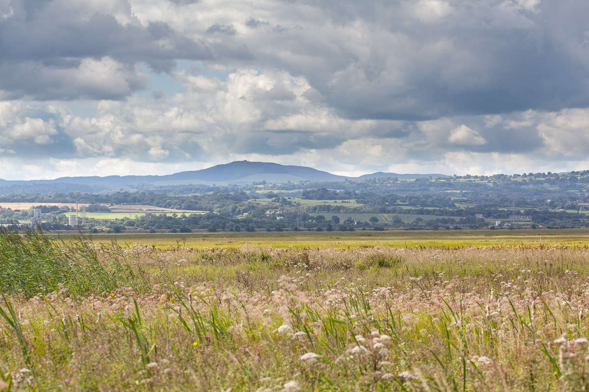 Moel Famau from Burton Marshes