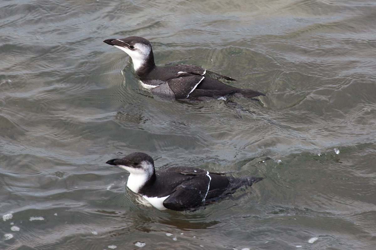 6 September 2019