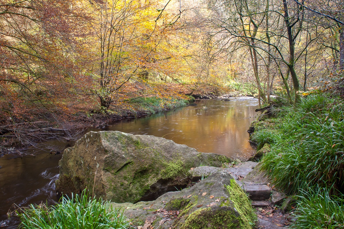 Hardcastle Crags, Autumn