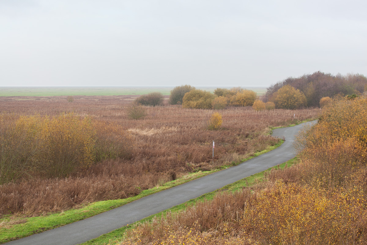 Autumn, Burton Marshes