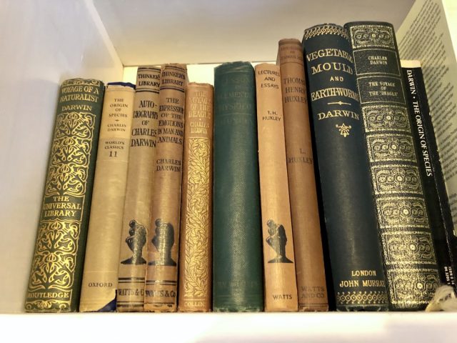 Mini-hardbacks