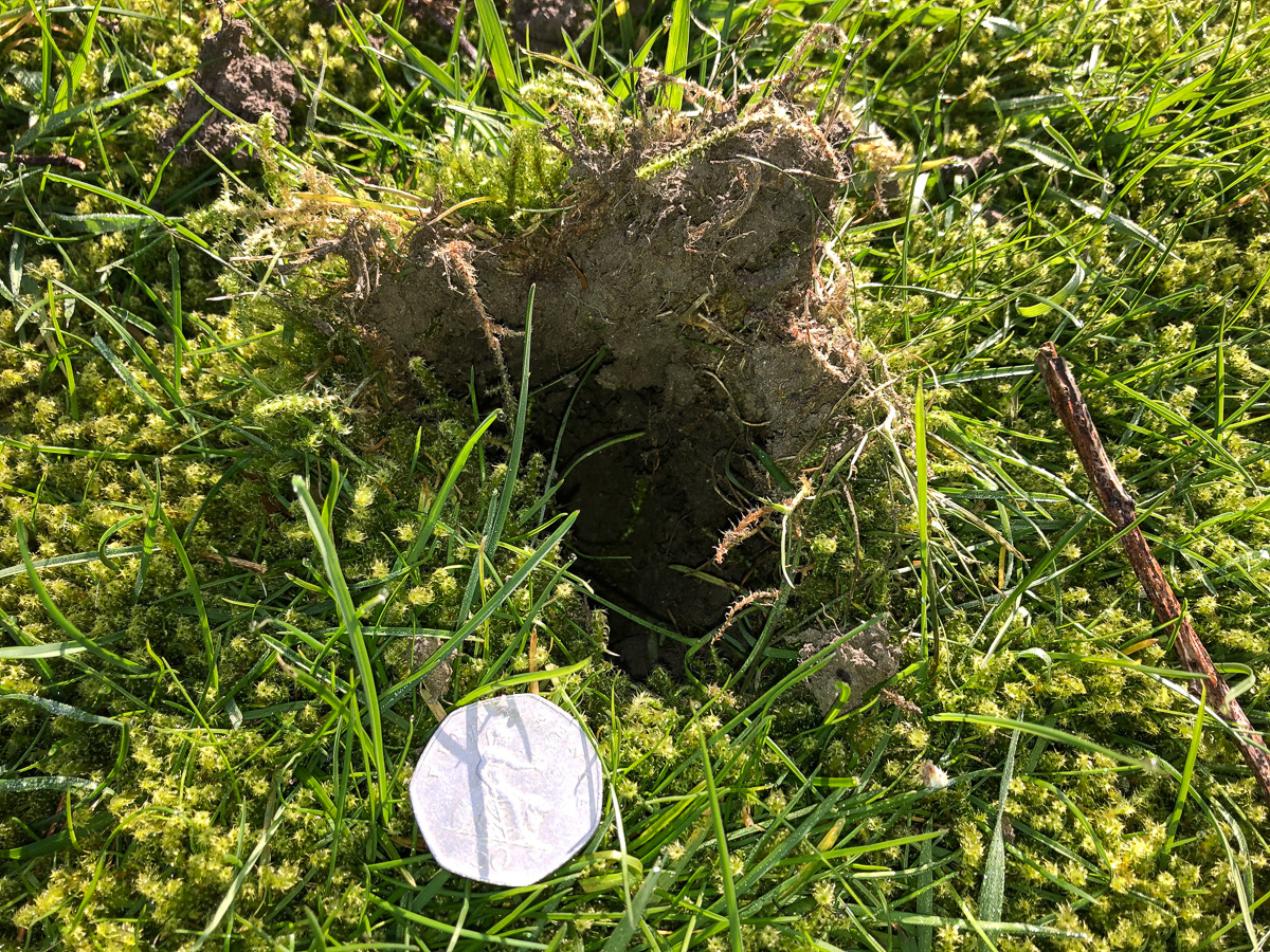 Mysterious divot