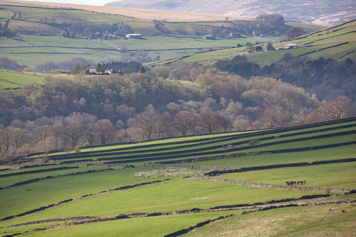 Upper Calder Valley hillside