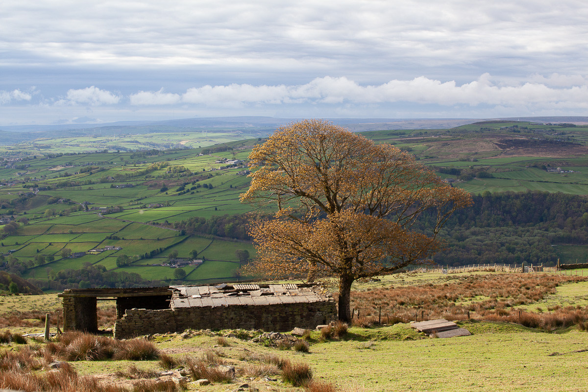 The view from the Moor