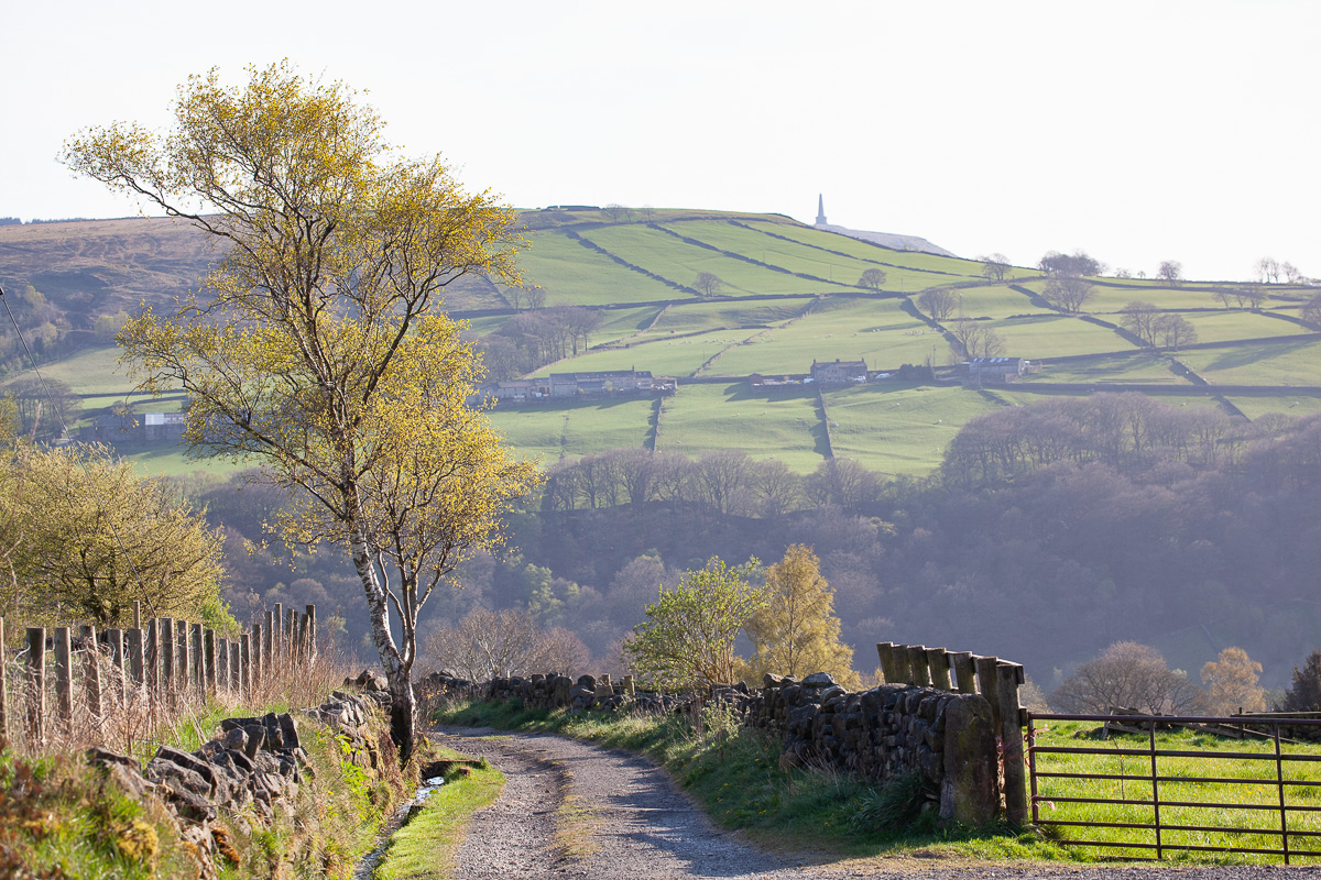 The Carr track