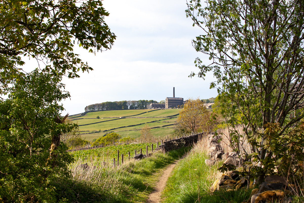 The bridleway