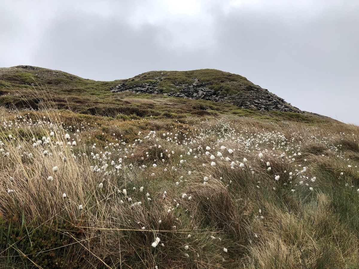 19 May 2020
