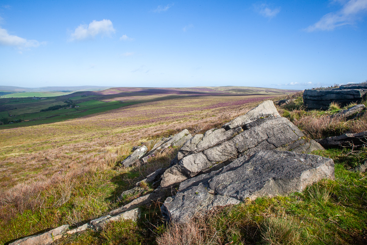 The view from the Edge