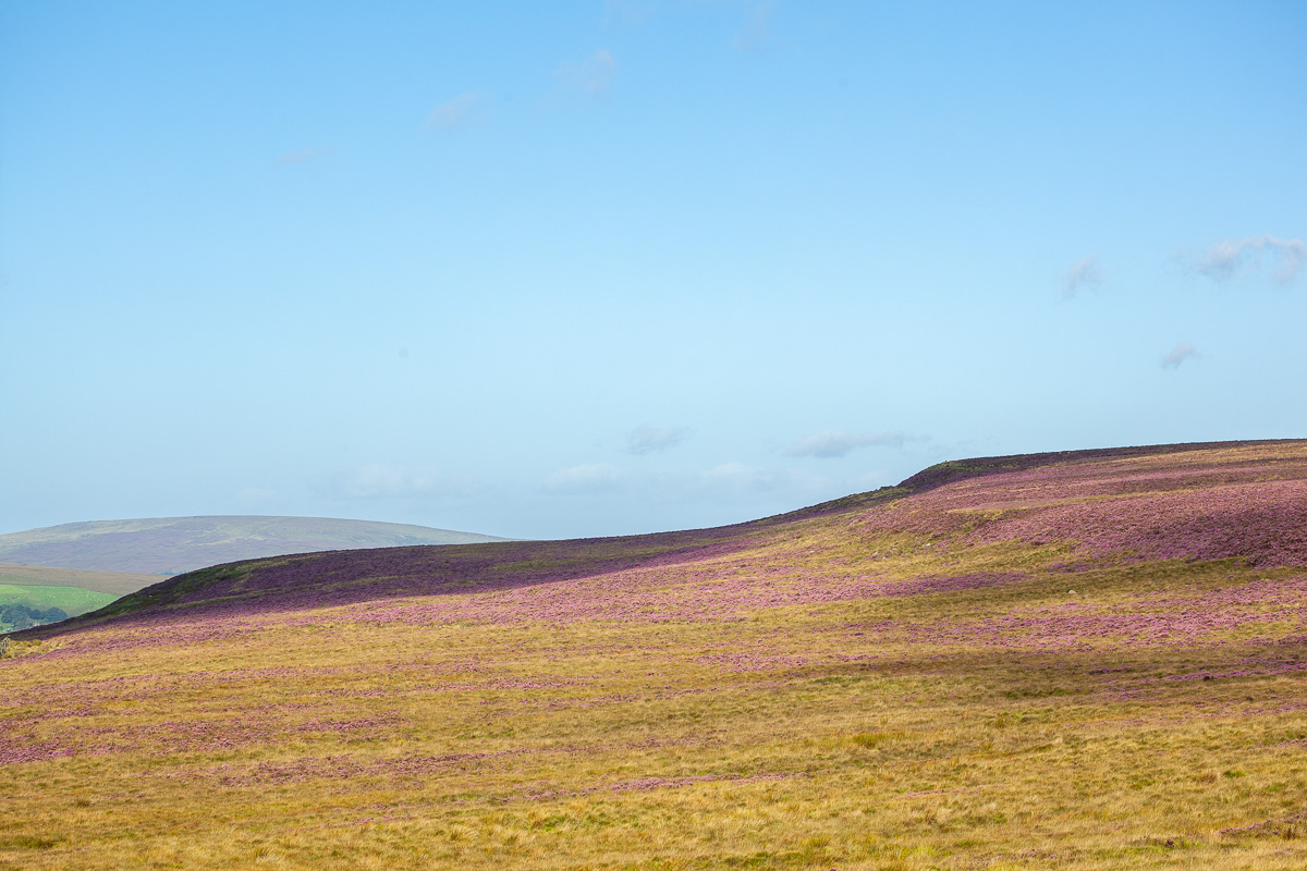 Across the Expanse