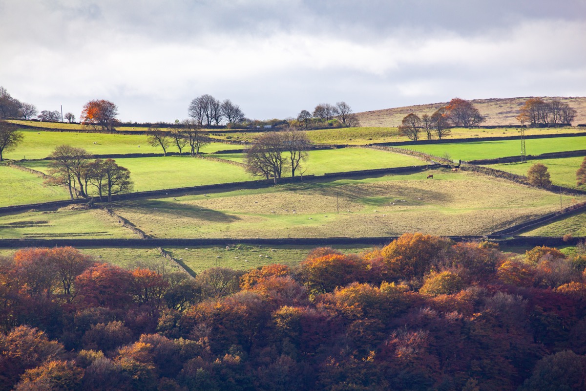 Late autumn