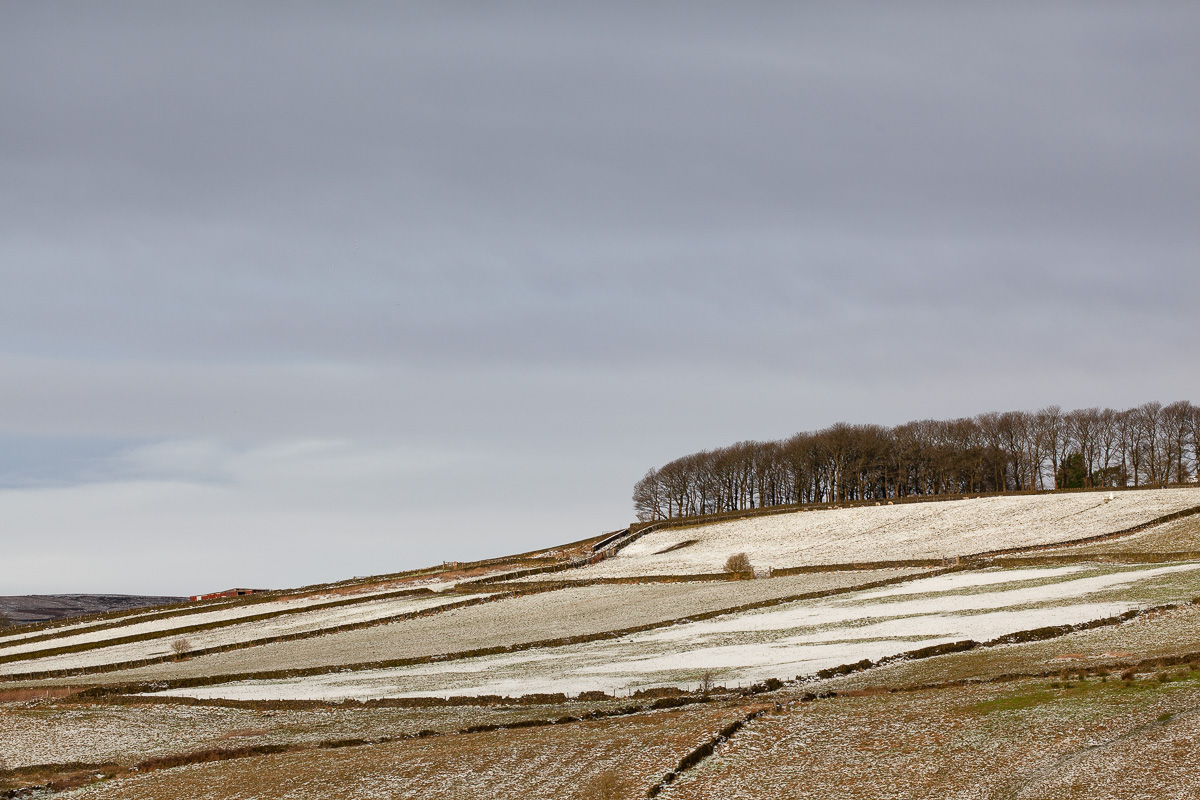 New-year snow