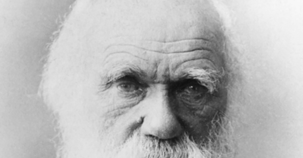 Darwin’s eyes
