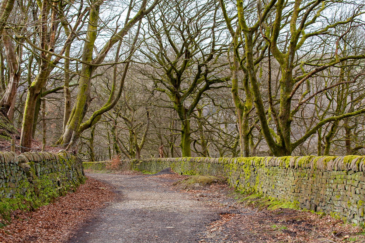 New Road
