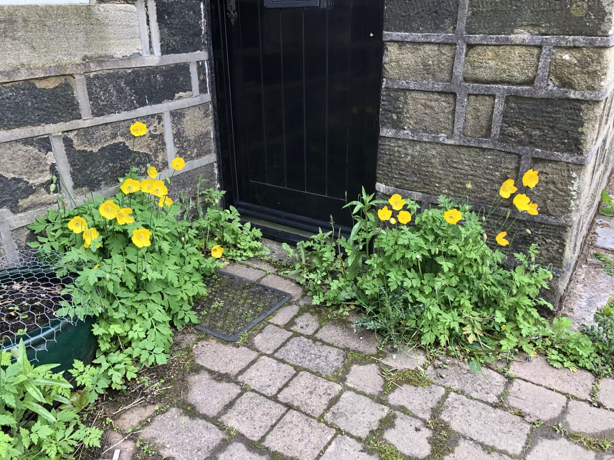 31 May 2021