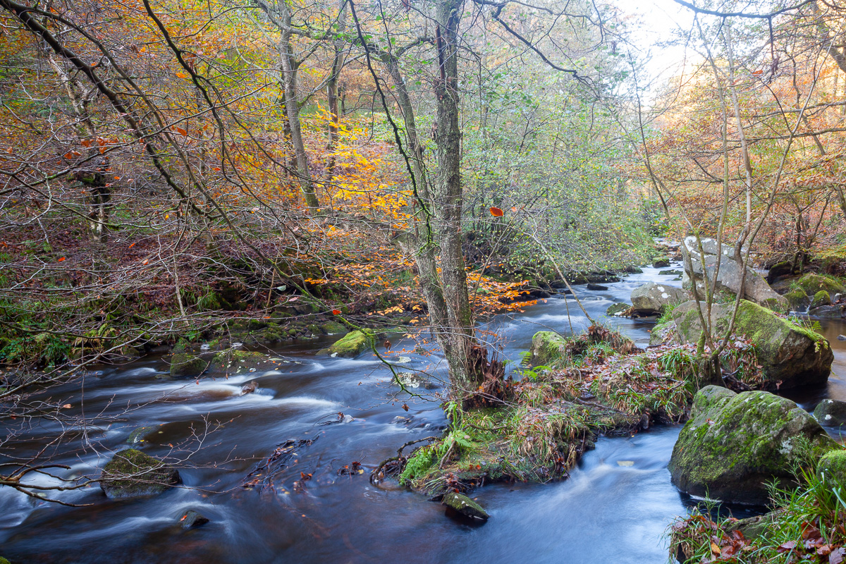 Autumn strolls