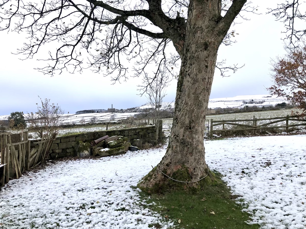 Storm Arwen