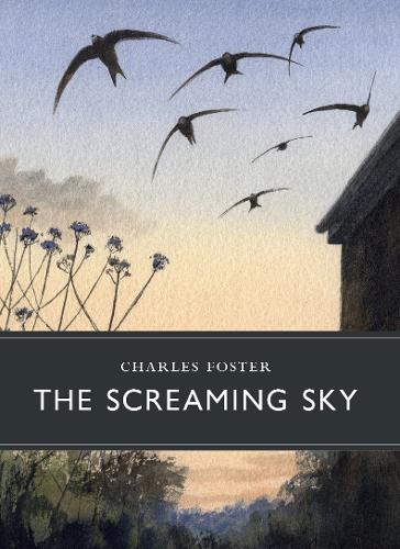 Book review: ‘The Screaming Sky’ by Charles Foster