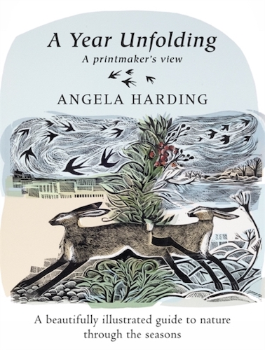 Book review: ‘A Year Unfolding’ by Angela Harding