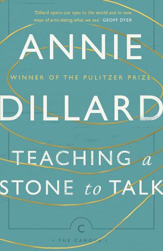 Book review: ‘Teaching a Stone to Talk’ by Annie Dillard