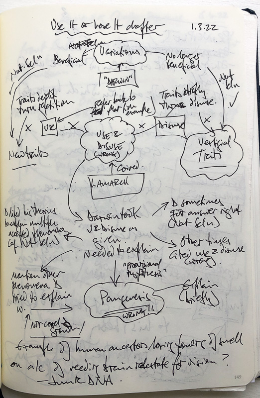 Chapter mind-map