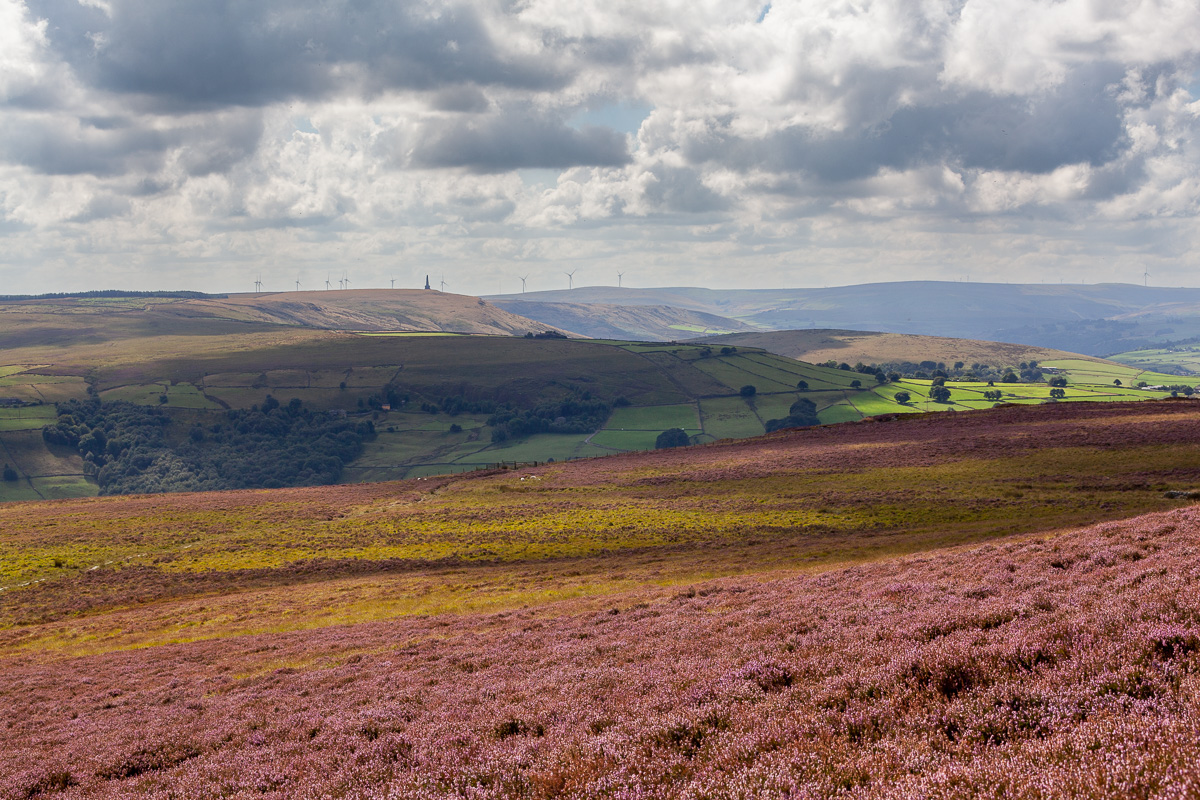 The view from the Moor