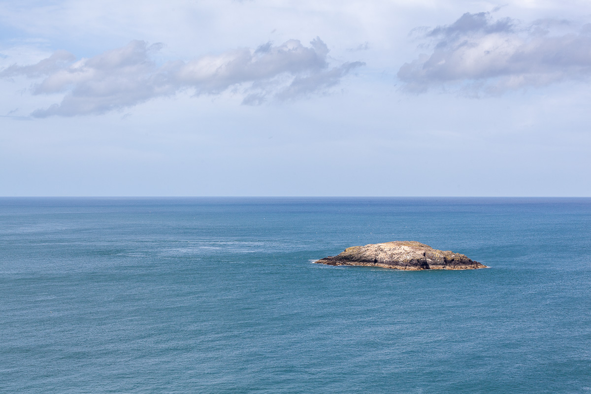 Ynys Badrig