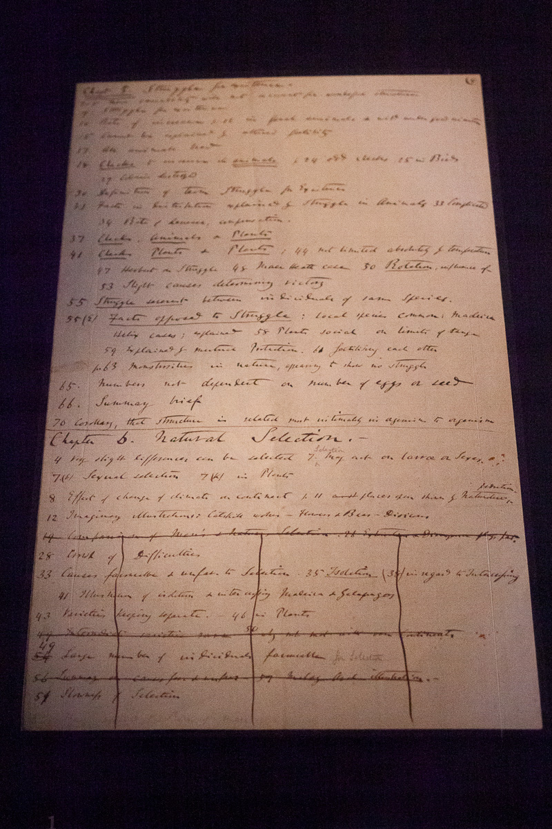 Summary of book plan for Darwin’s never-completed ‘big book’ on species entitled ‘Natural Selection’.