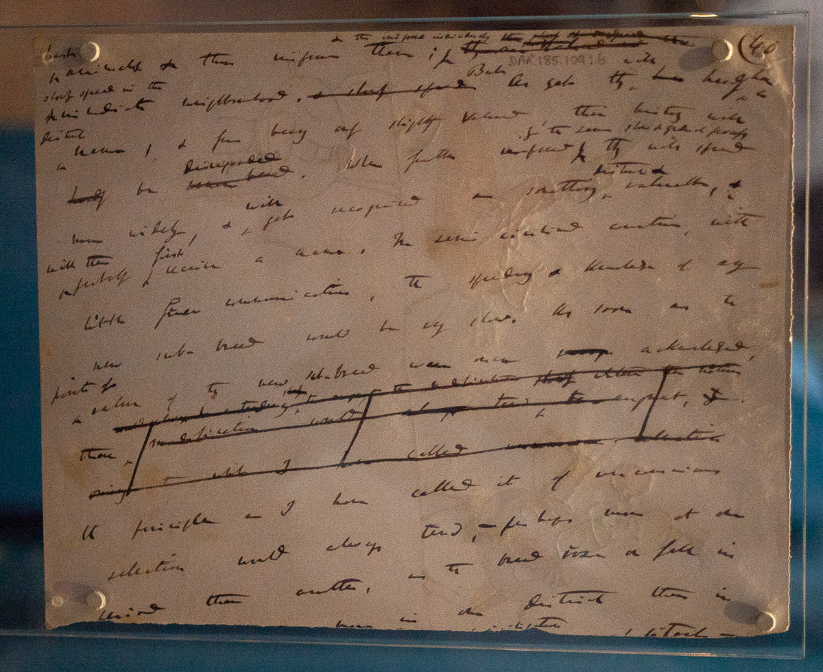 Charles Darwin’s book-writing process