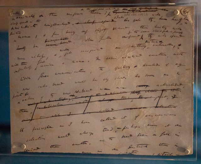A rare manuscript page from the first edition of On the Origin of Species.