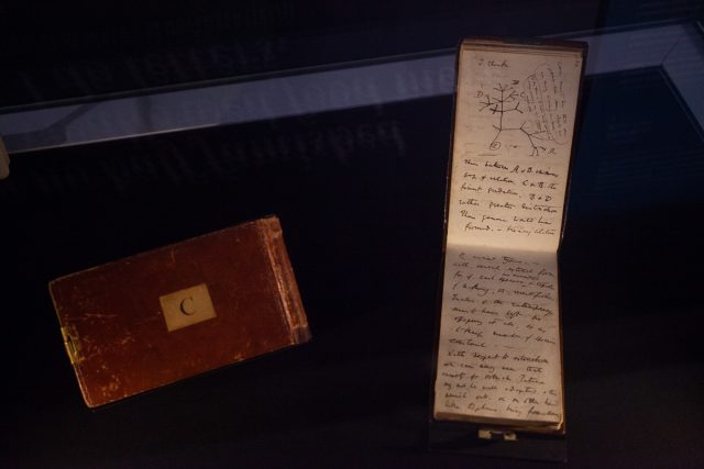 Darwin’s Notebooks B & C.