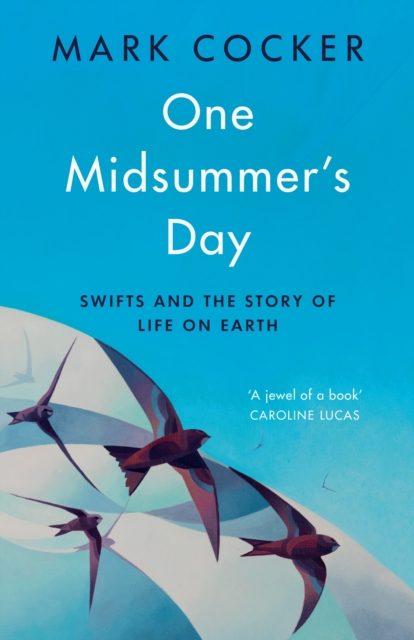 Book Review: ‘One Midsummer’s Day’ by Mark Cocker