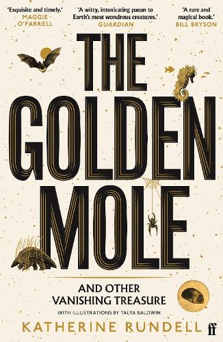 Book review:  ‘The Golden Mole’ by Katherine Rundell