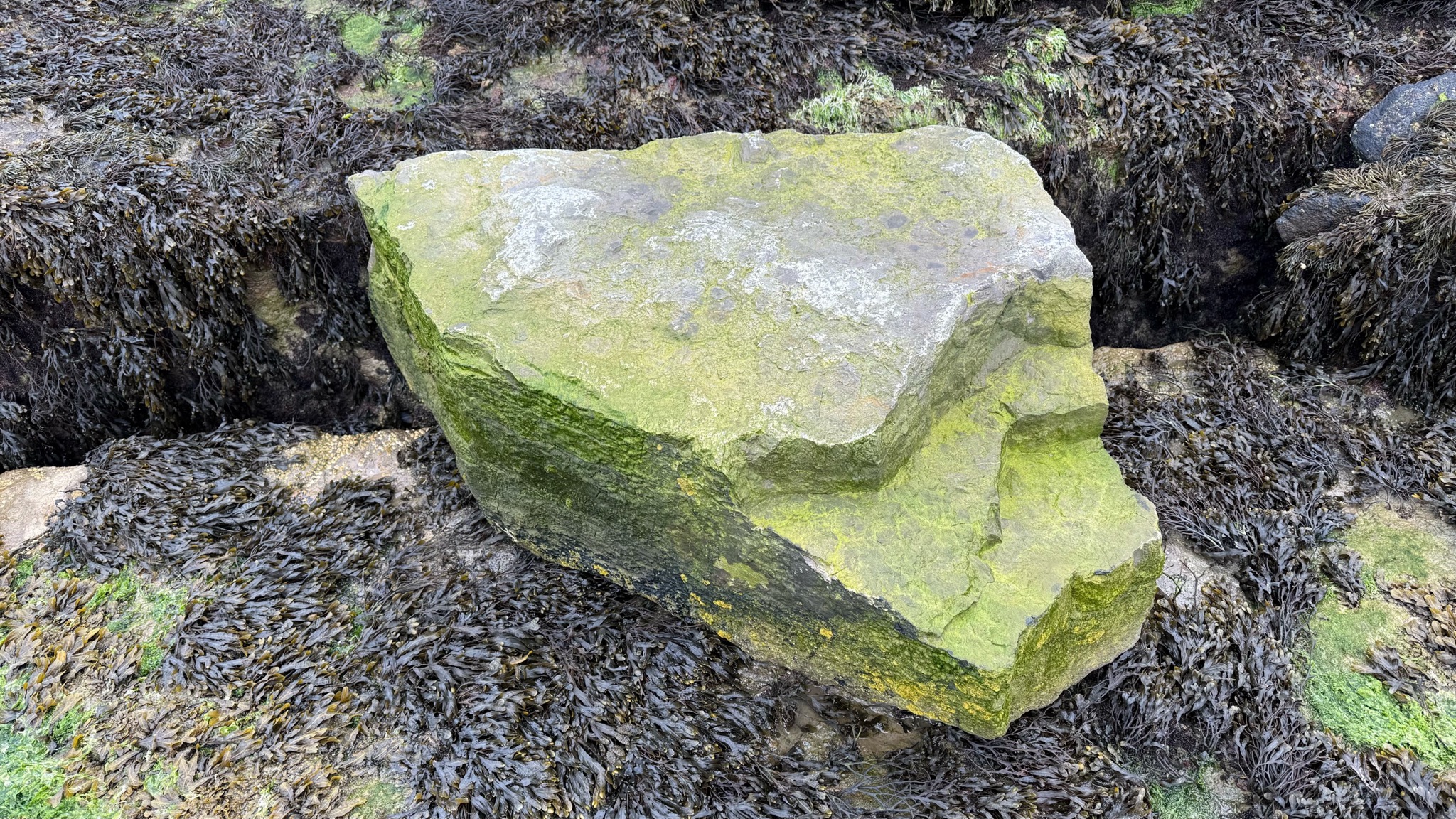 My relocated favourite rock