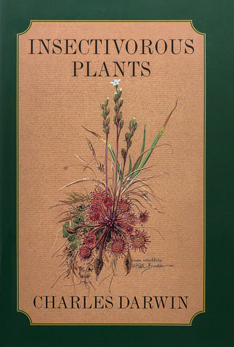 Insectivorous Plants