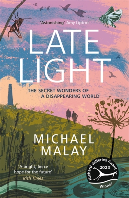 ‘Late Light’ by Michael Malay