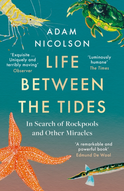 ‘Life Between the Tides’ by Adam Nicolson