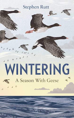 ‘Wintering’ by Stephen Rutt