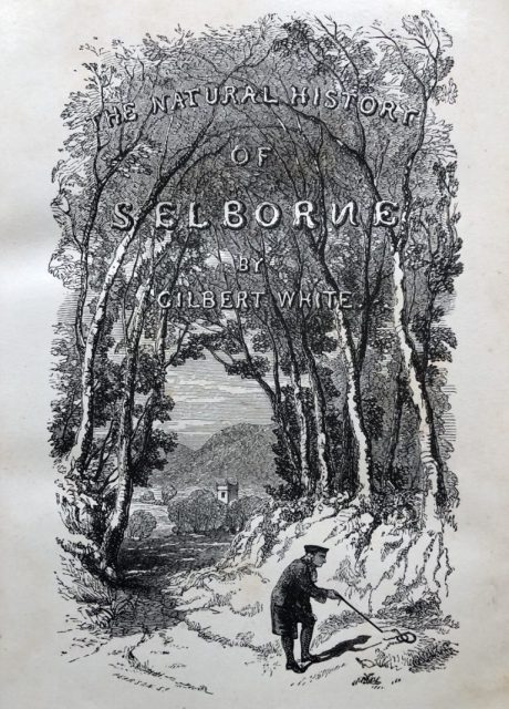 ‘The Natural History of Selborne’ by Gilbert White